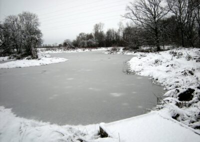 Gallery 1235081213
