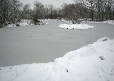 Gallery 1235081220